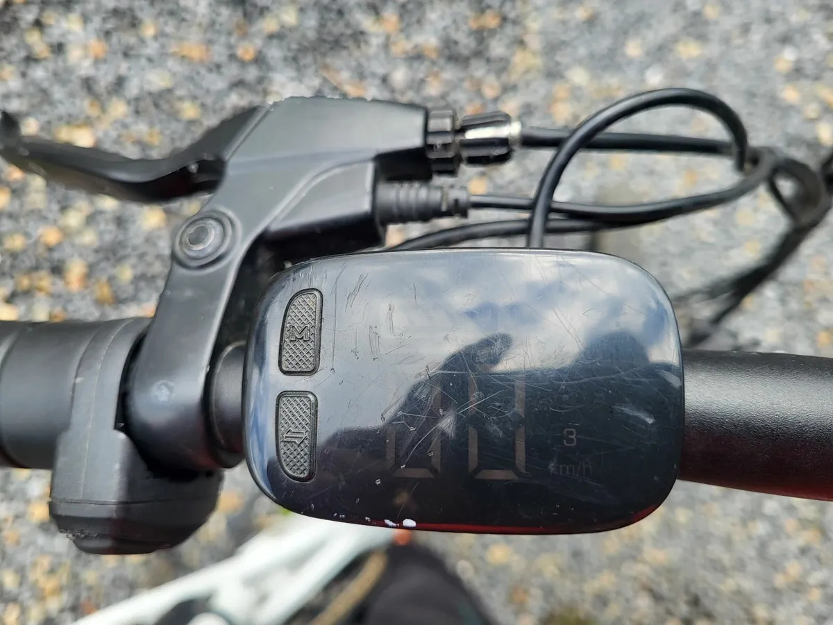 Electric bike fiido d3 pro