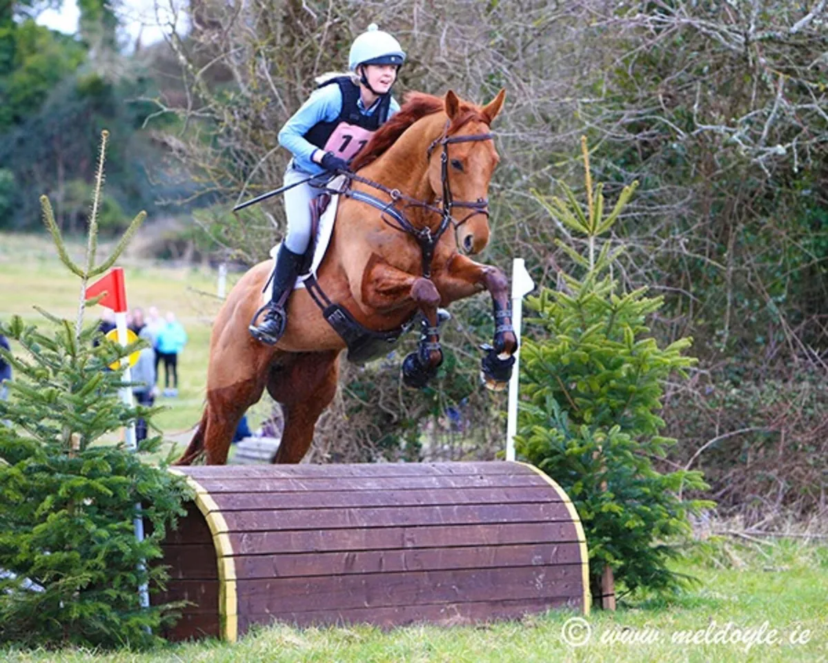 Kind and talented 5yo - Image 1