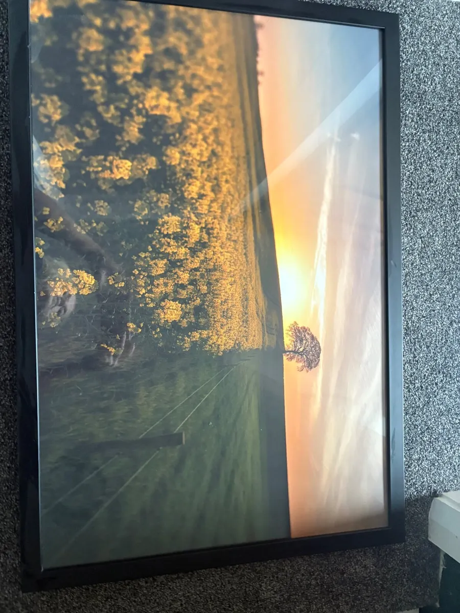 Picture- photograph - Image 1