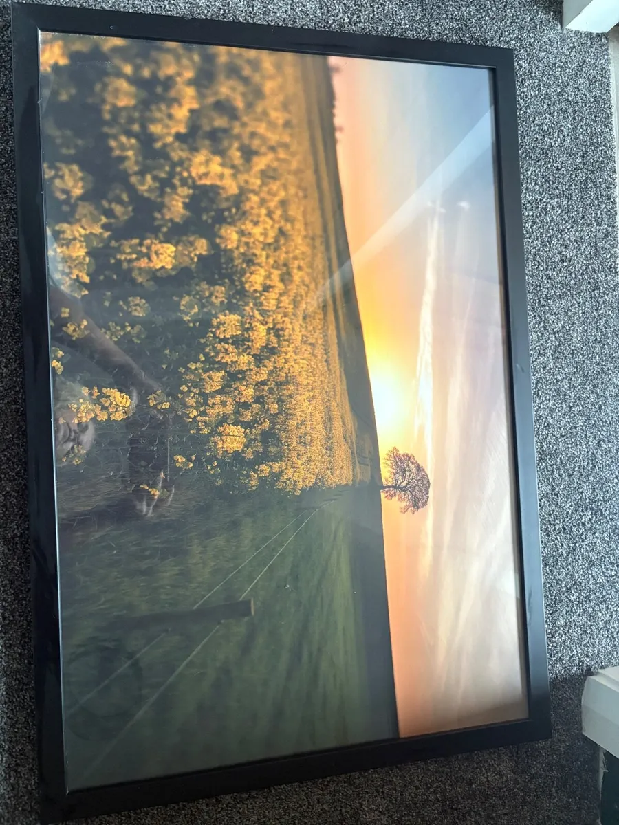 Picture- photograph - Image 2