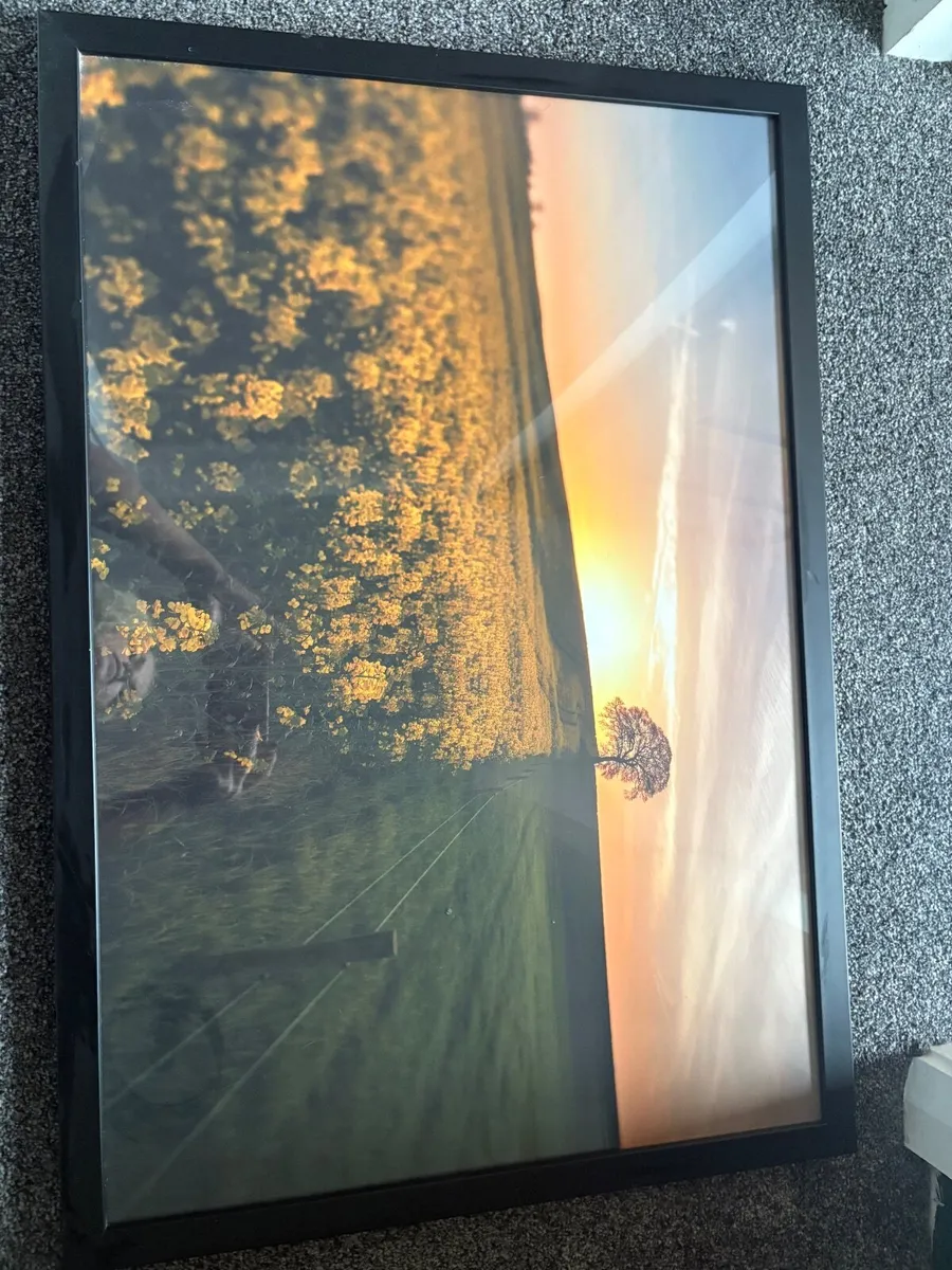 Picture- photograph - Image 3
