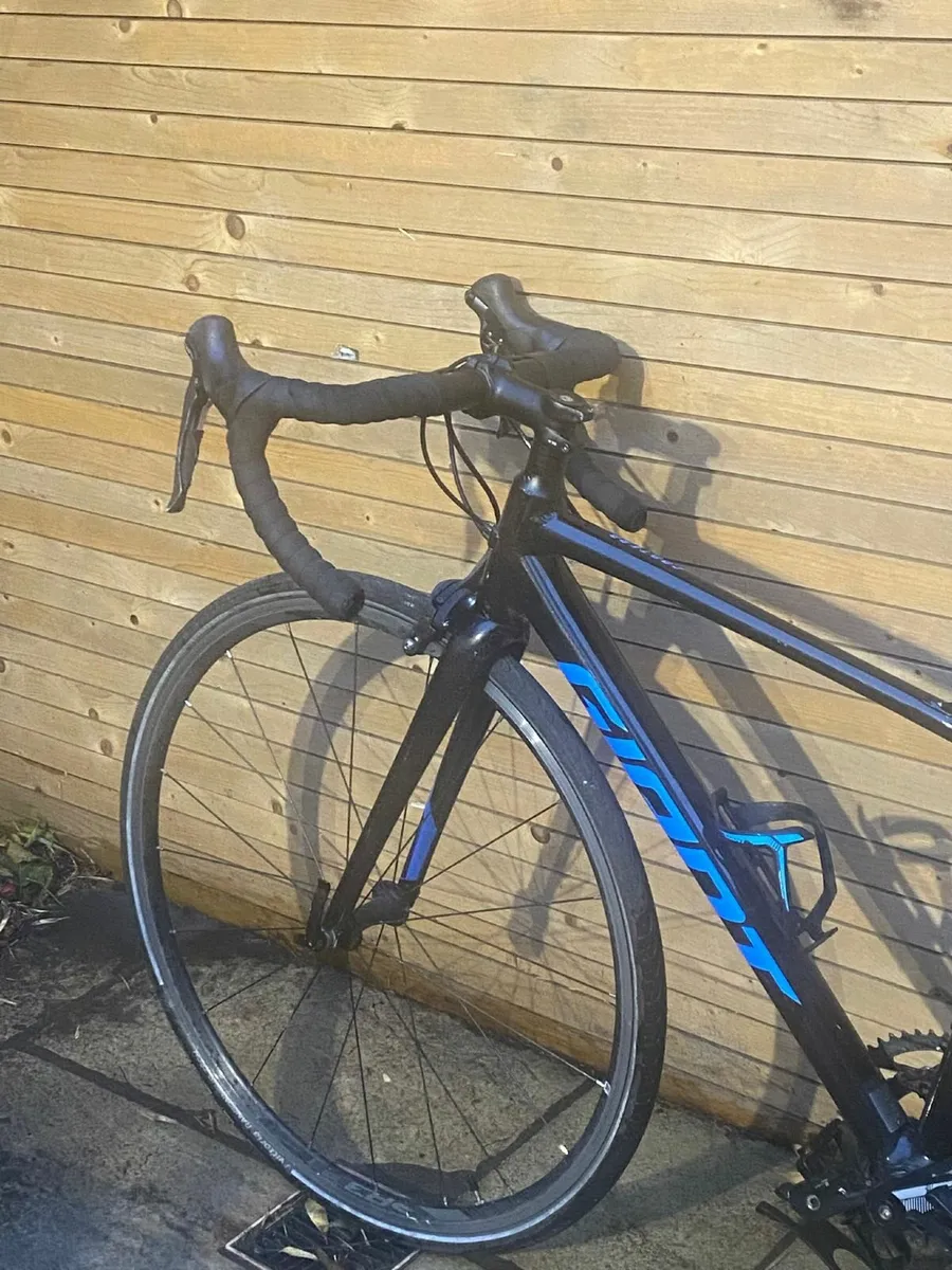 giant racer contend - Image 1