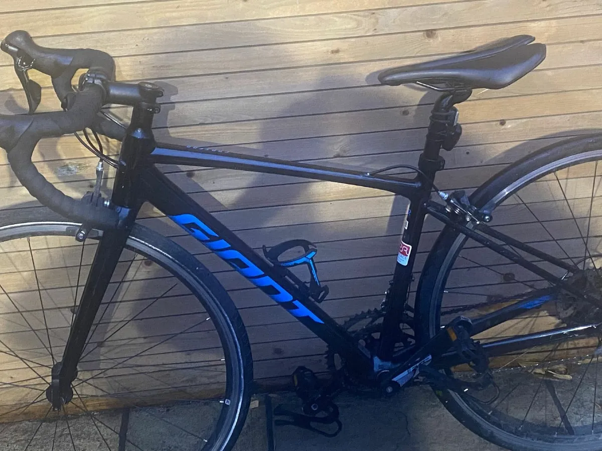giant racer contend - Image 2