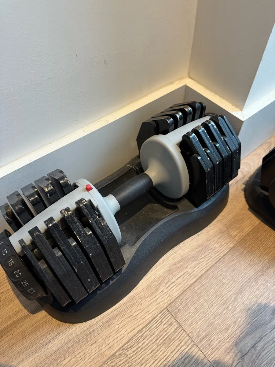Adjustable Dumbells - Image 1