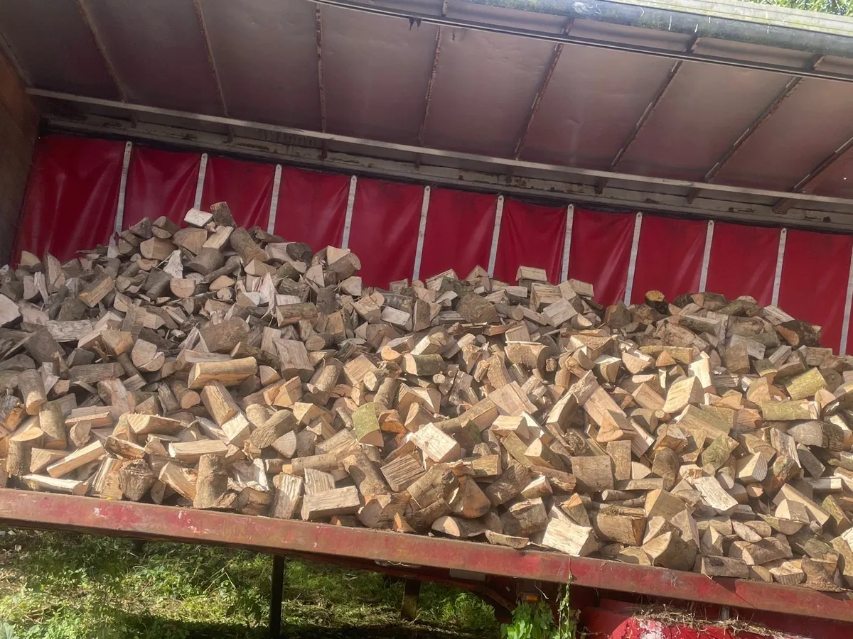 Fire wood - Image 1