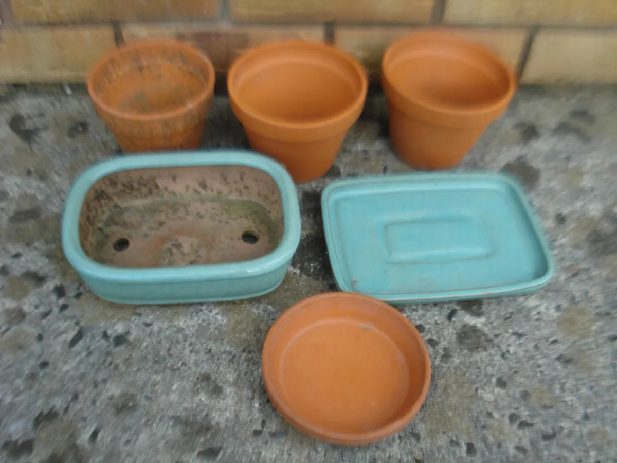 SMALL GARDEN TERRACOTTA POTS, BASE & TROUGHS. - Image 3