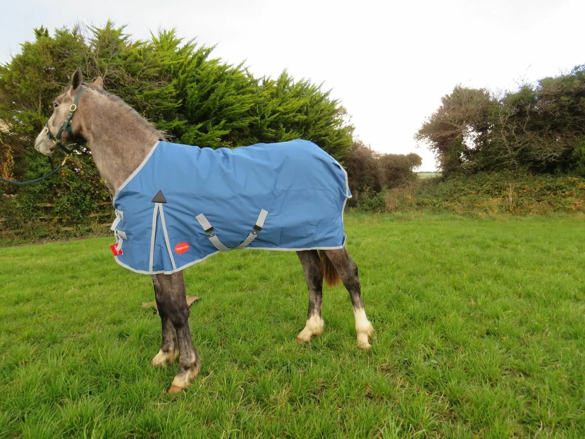 Waterproof outdoor and warm stable rugs for sale - Image 2