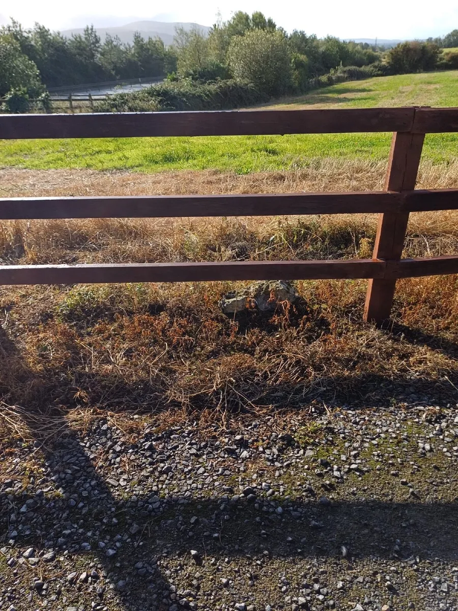 Rail Posts For Sale - 220m - Image 1