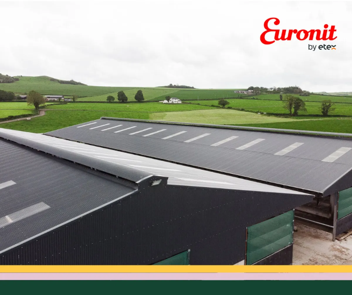 Corrugated Metal Sheeting - Image 1