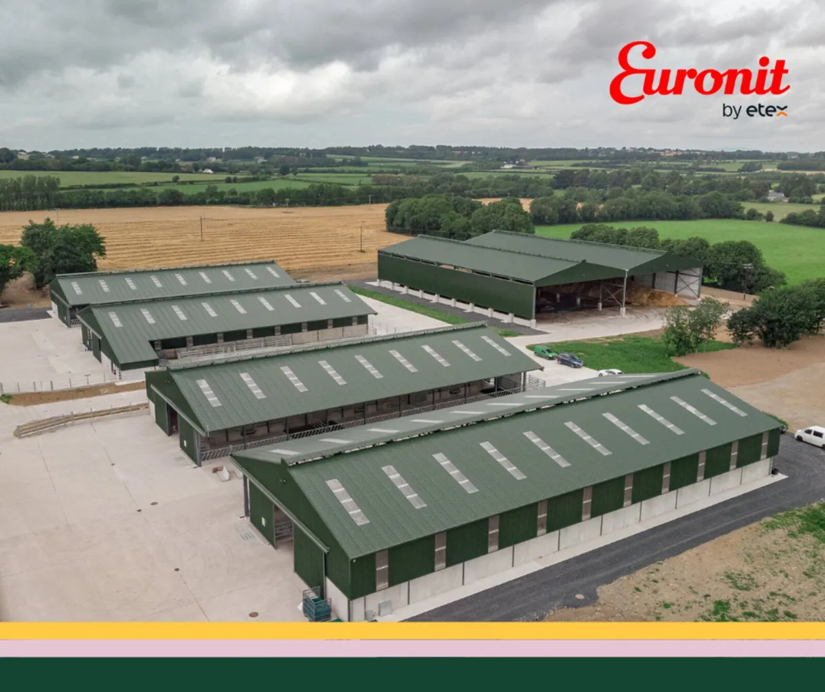 Corrugated Metal Sheeting - Image 1