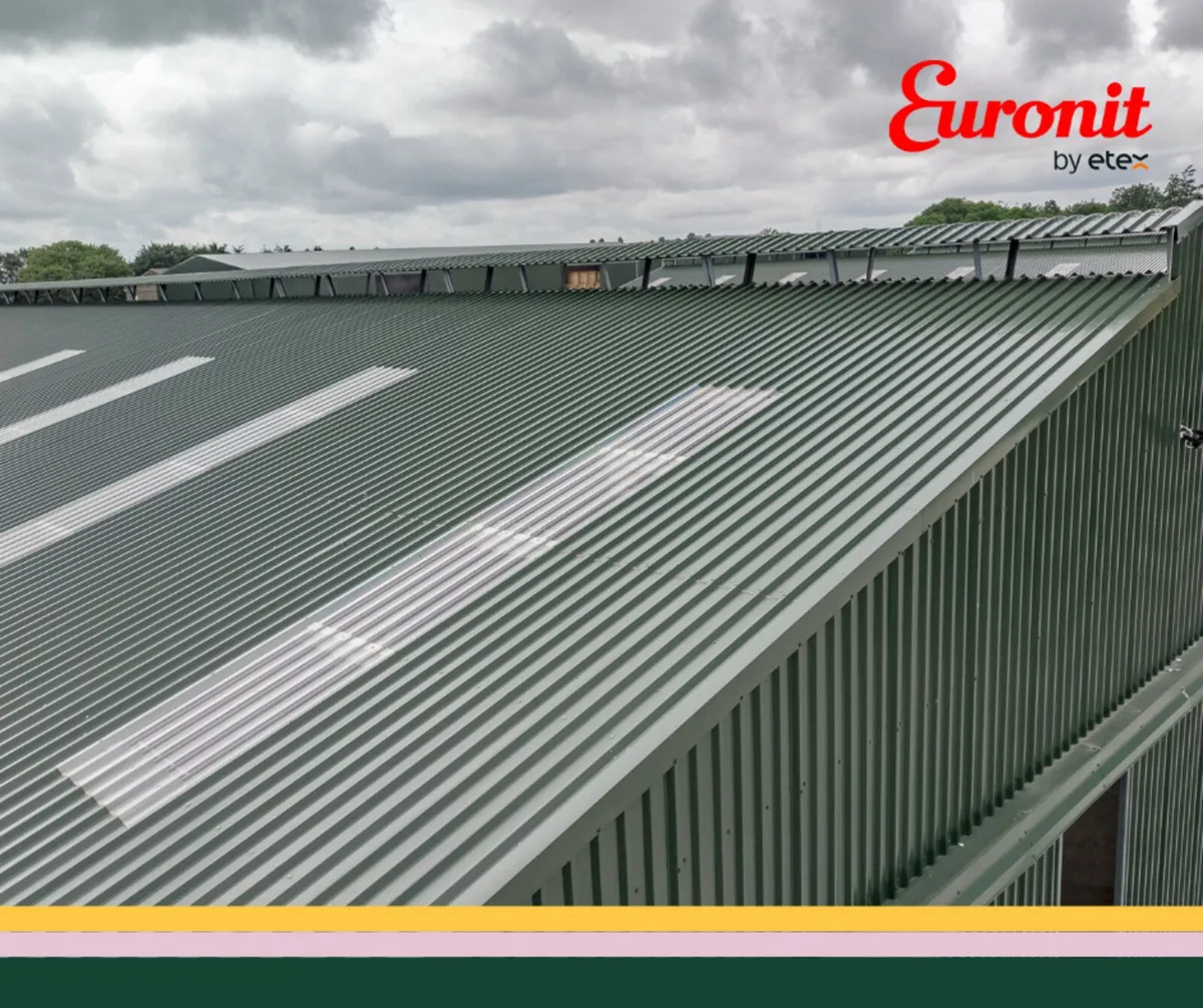 Corrugated Metal Sheeting - Image 3