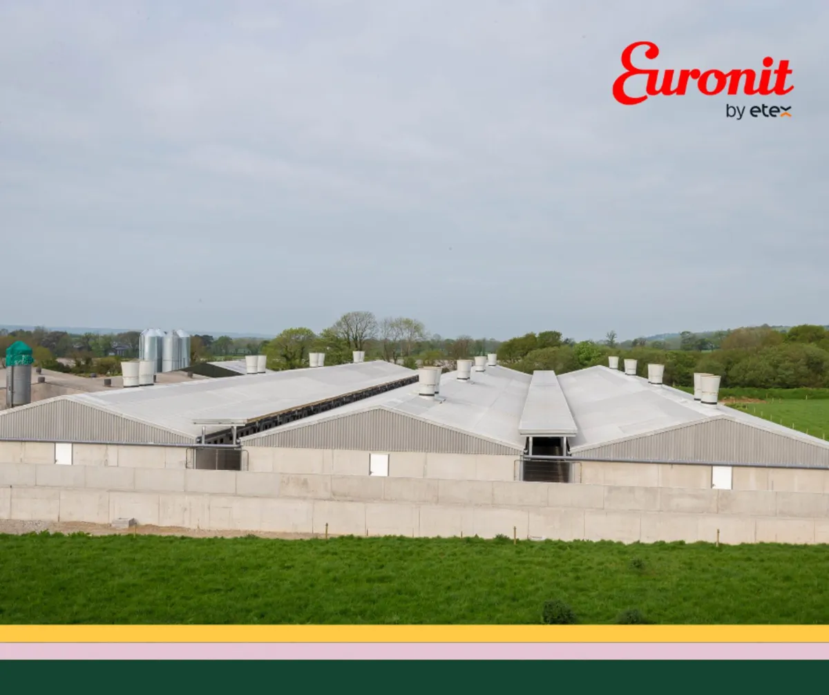 Fibre Cement Corrugated Sheeting - Image 4