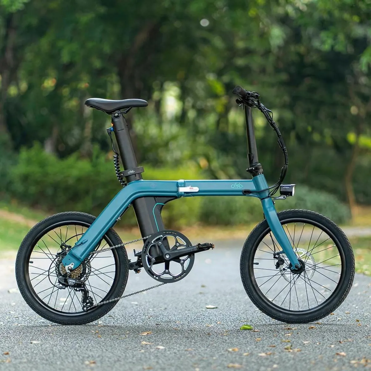 Fiido D11 Electric Bike