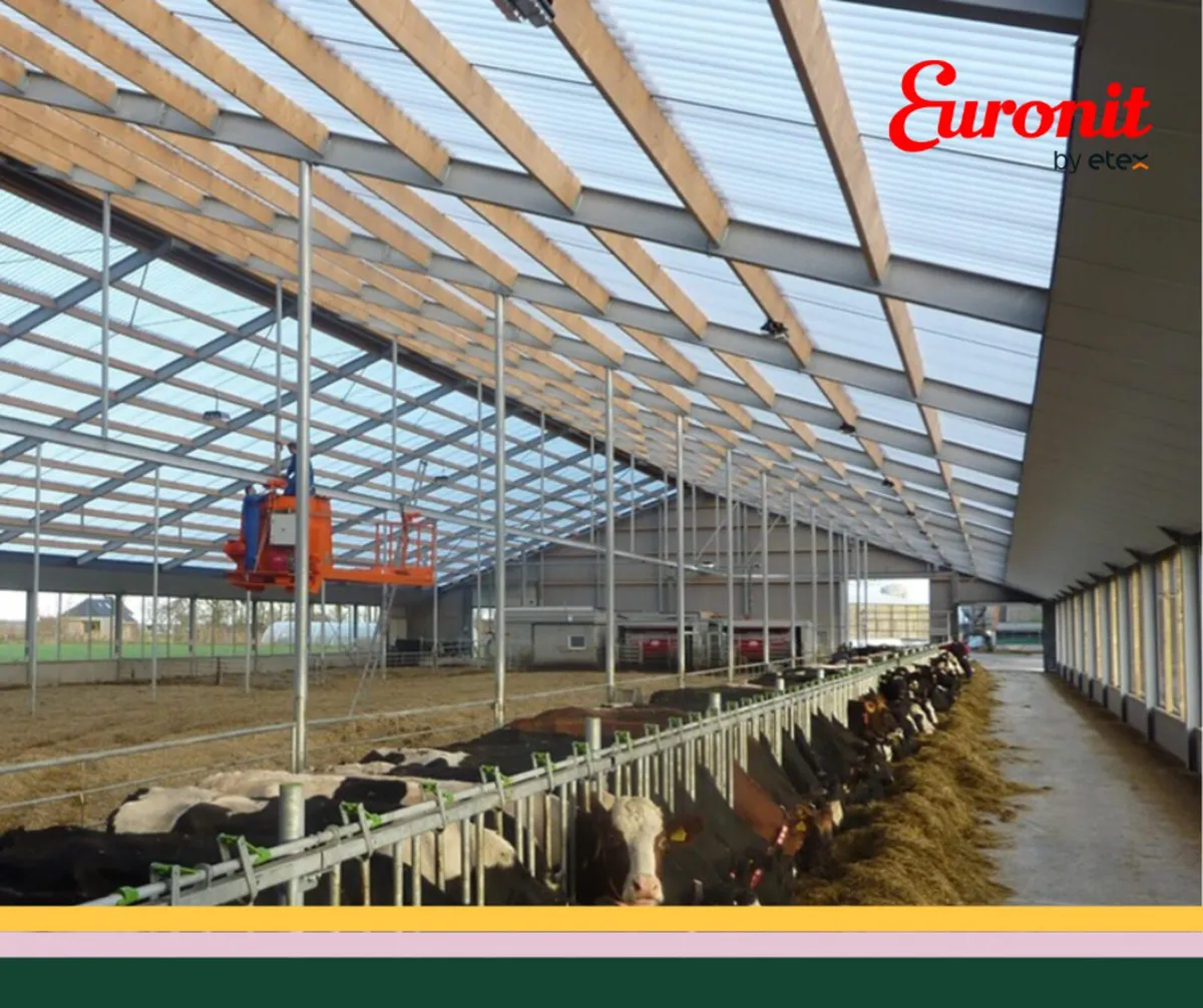ThermaTec Polycarbonate Sheeting - Image 2