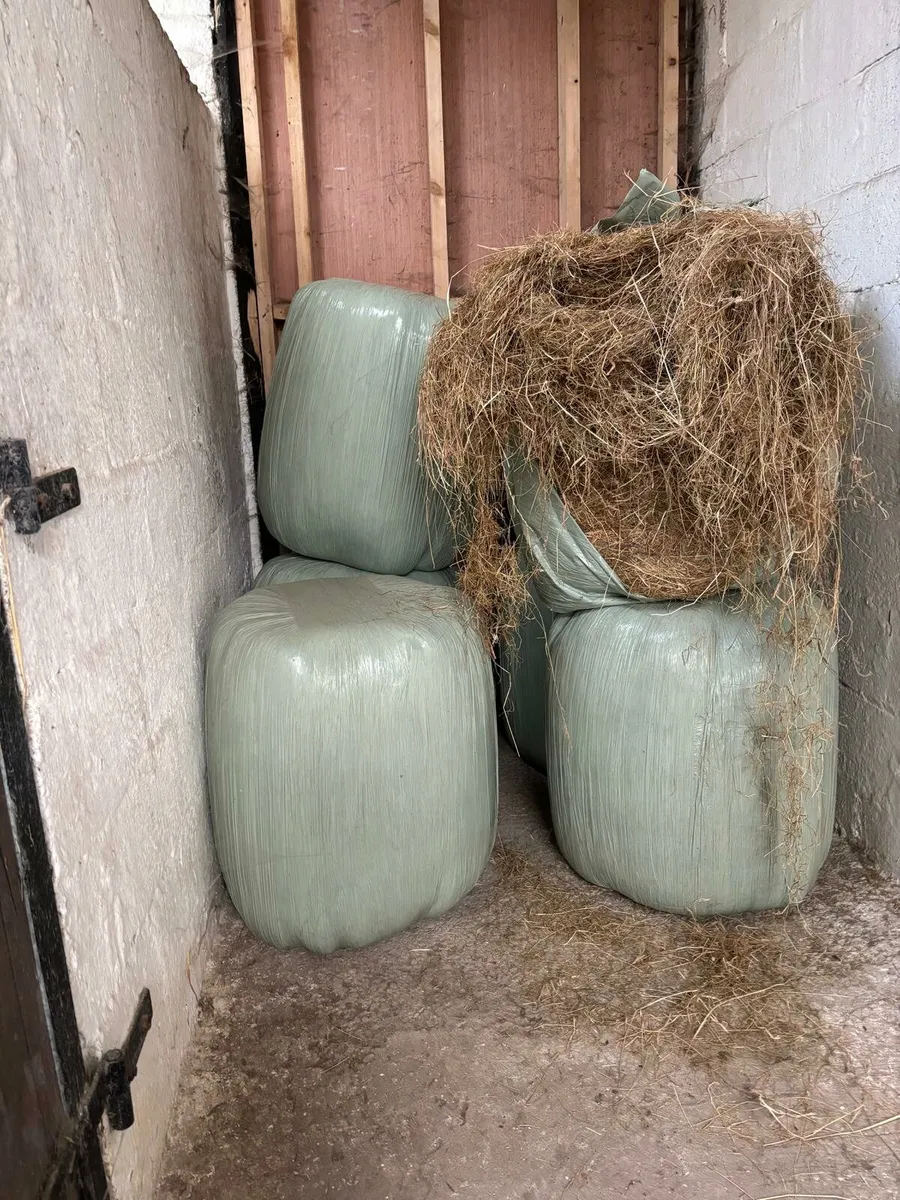 Haylage for sale - Image 1
