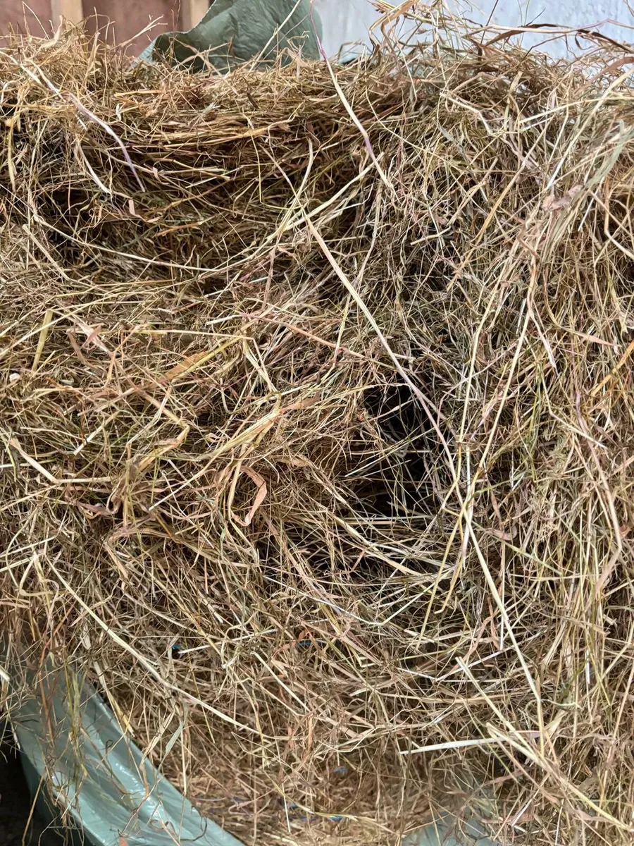 Haylage for sale - Image 3