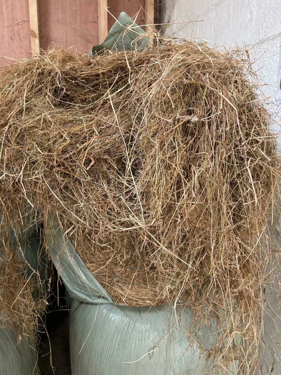 Haylage for sale - Image 4