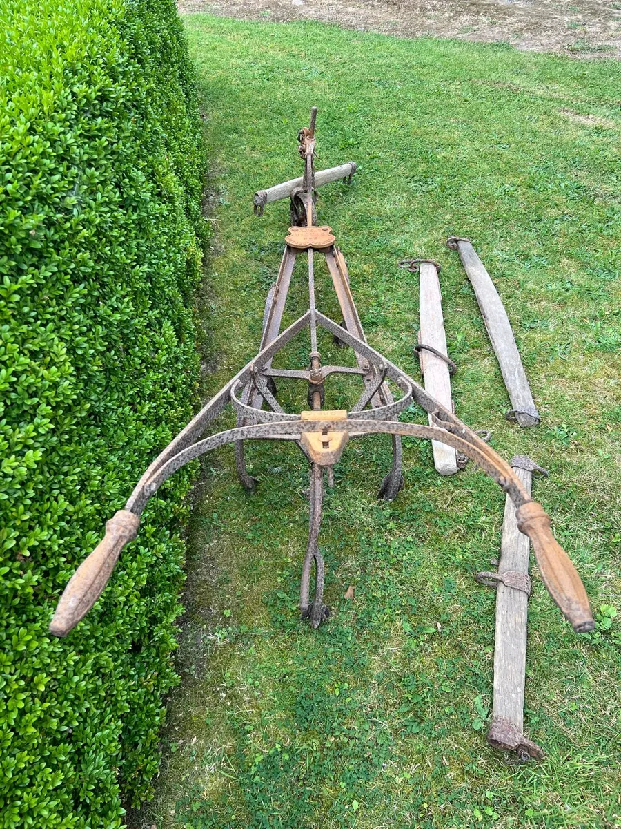 Antique horse-drawn hoe - Image 2