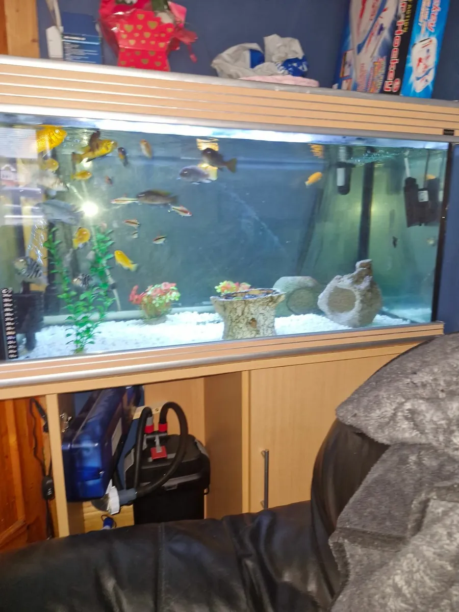 Aqua one aquarium - Image 1