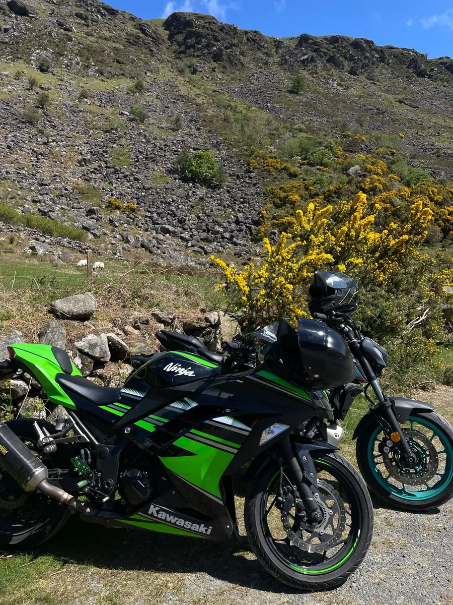Kawasaki ninja 300 2017 - Image 1