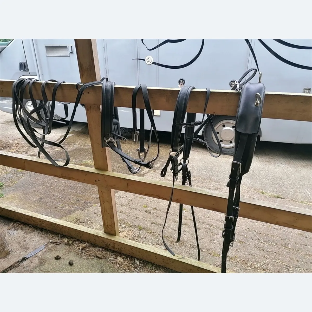 Shetland cart and harness - Image 4