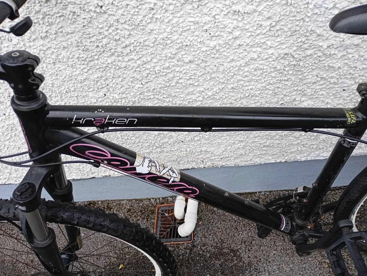 Careera  Bike - Image 2