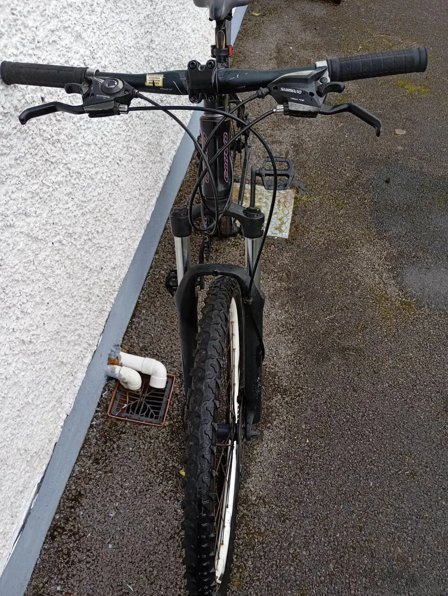 Careera  Bike - Image 4