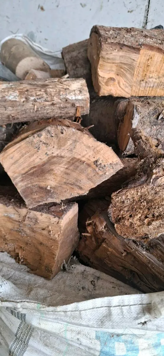 Firewood - Image 1