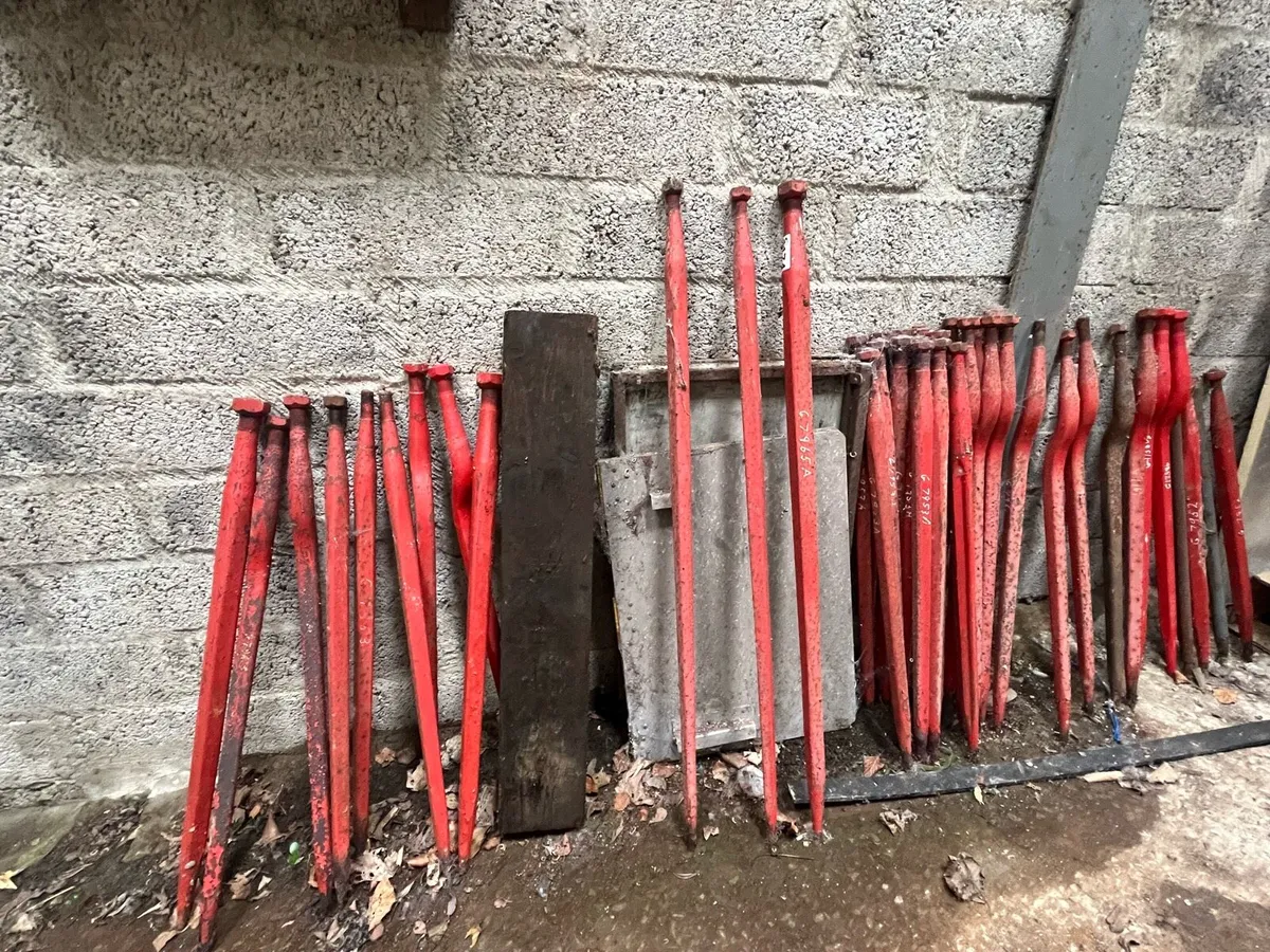 Buckrake Tyne’s - Image 1