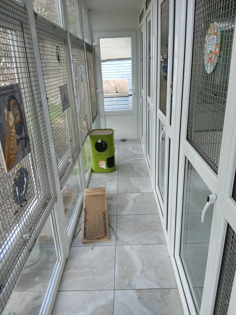 Boarding cattery - Image 3