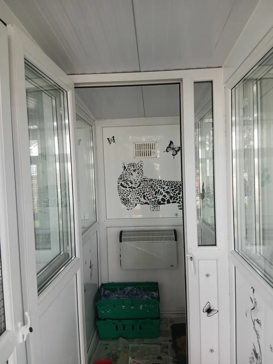 Boarding cattery - Image 4