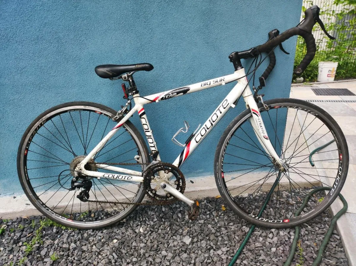 Bicycle - Image 1