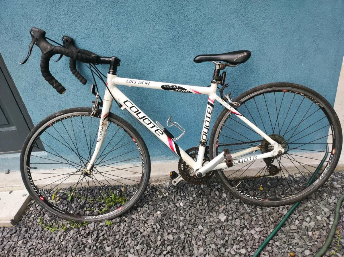 Bicycle - Image 2