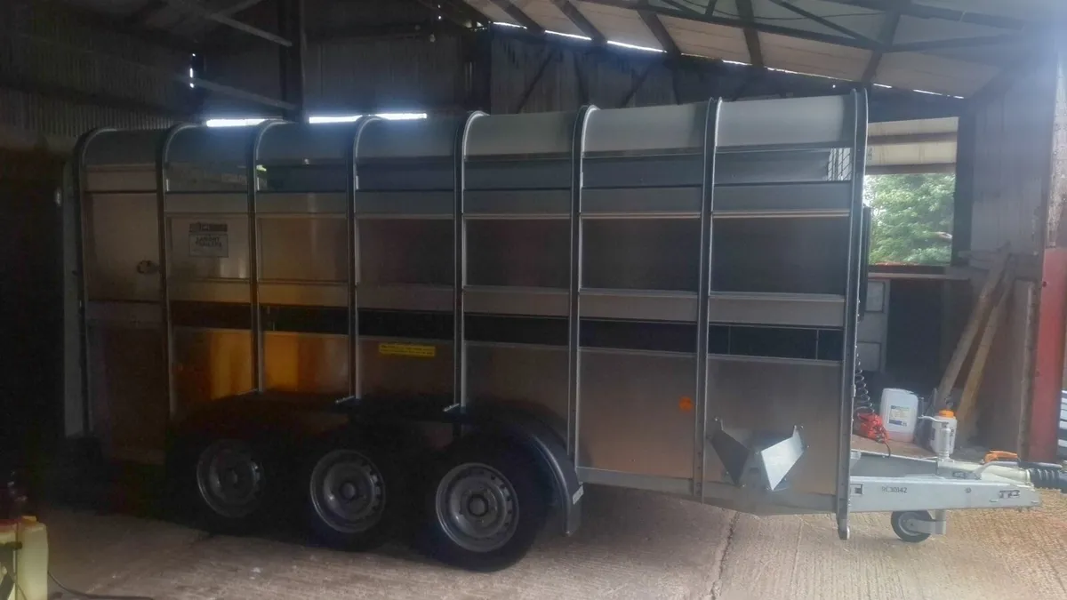 Ifor williams livestock trailer
