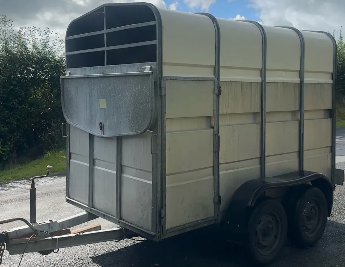 8 x 5 Cattle Trailer - Image 1