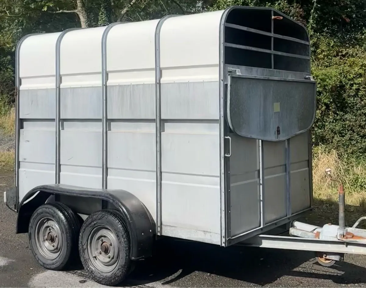 8 x 5 Cattle Trailer - Image 2