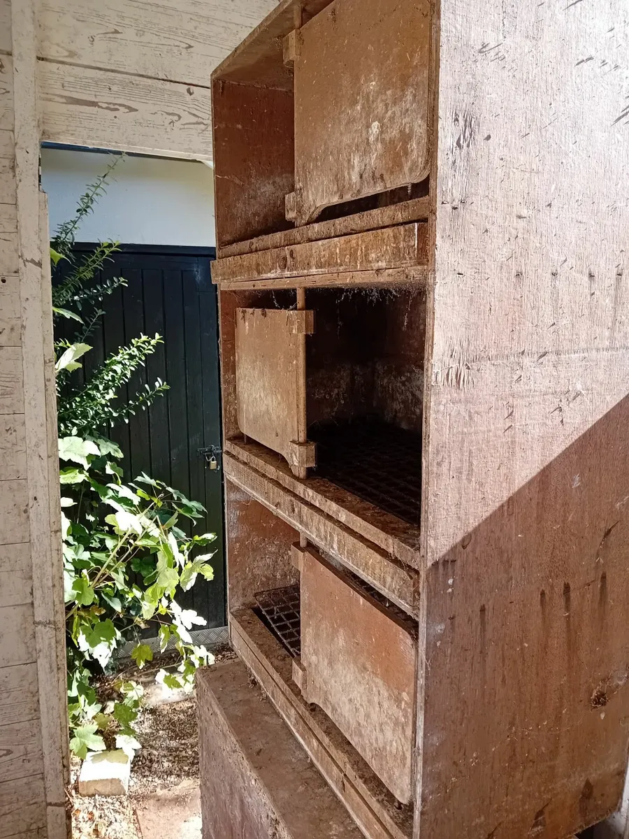 Pigeon Loft Accessories - Image 1