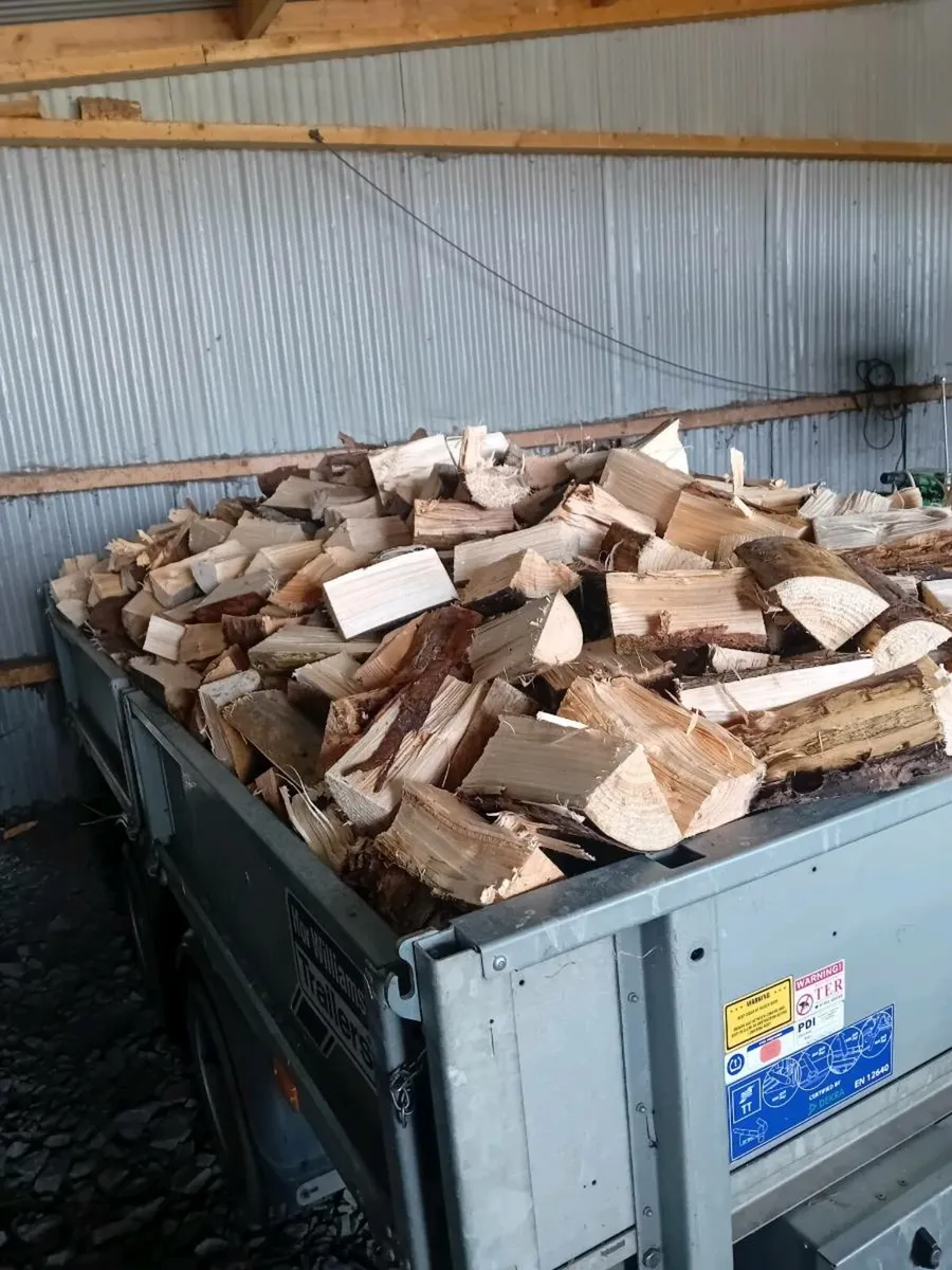 Firewood - Image 1