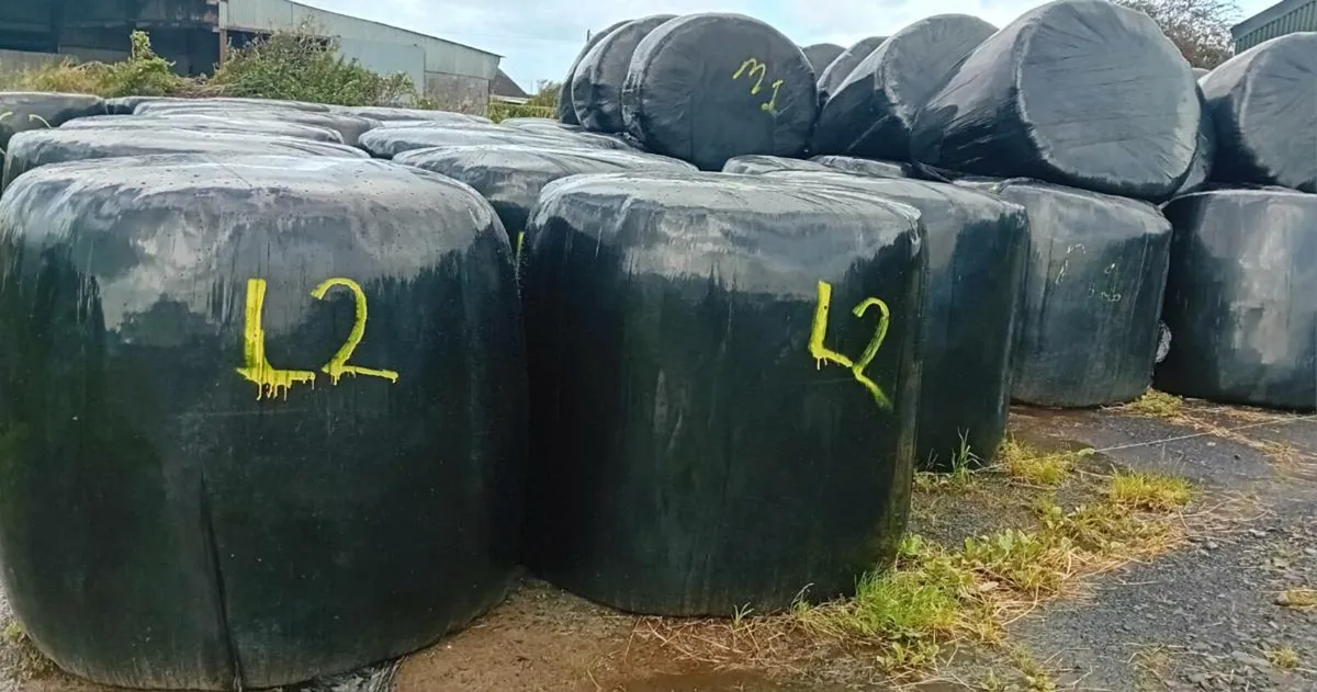 Silage/hay - Image 1