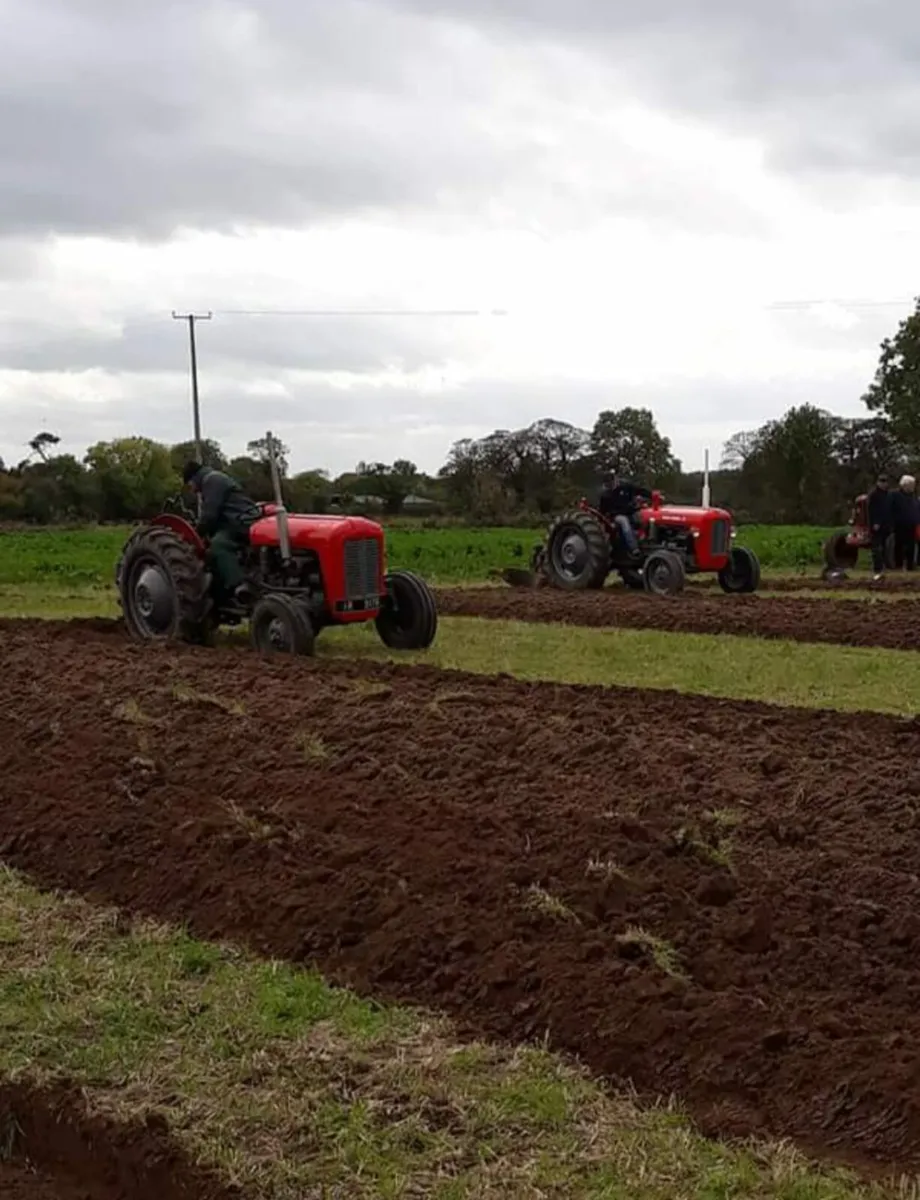 Raheen Vintage Annual Ploughing Match - Oct 5th - Image 4
