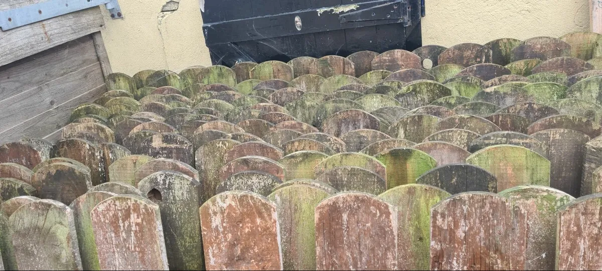 Reclaimed Garden Roundhead fencing 20 panels 180cm - Image 1