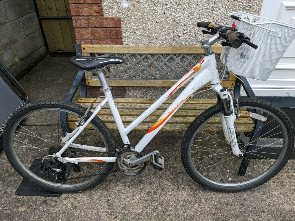 Ladies bike - Image 1
