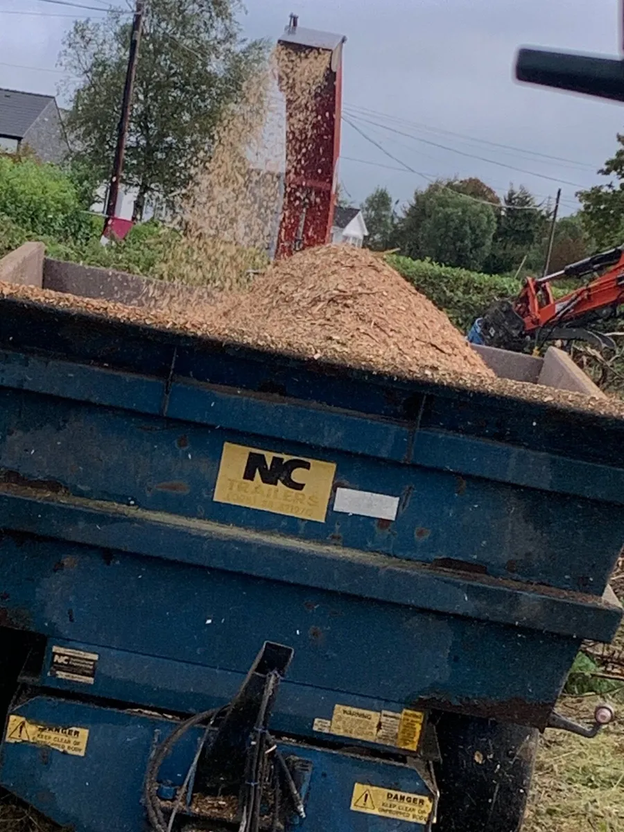 Wood chip - Image 1