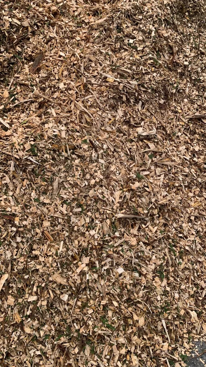 Wood chip - Image 2