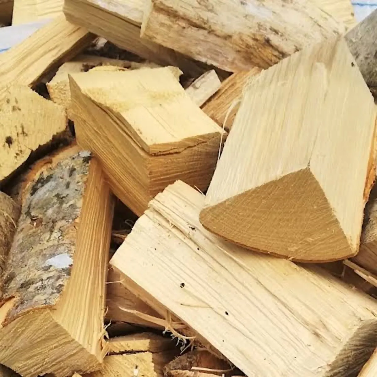 Firewood