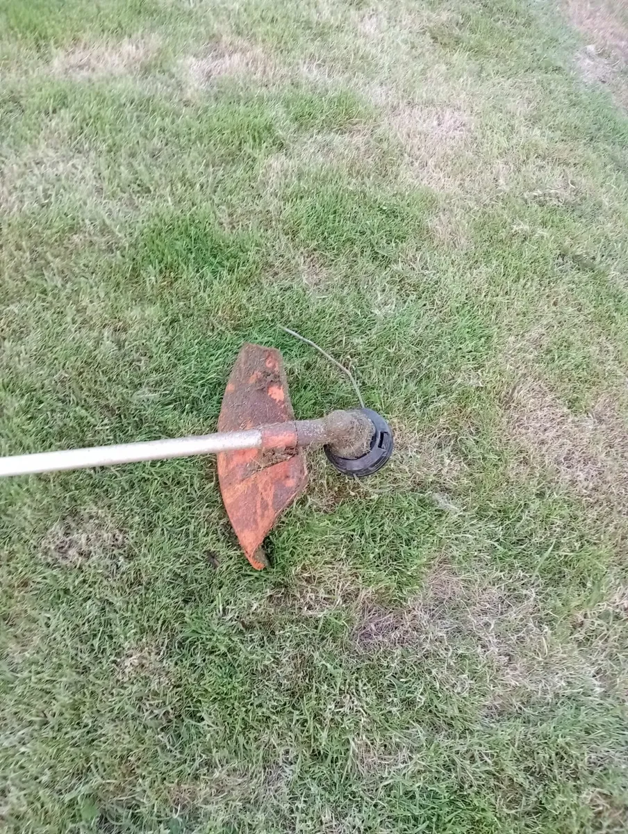 Ama Strimmer - Image 4