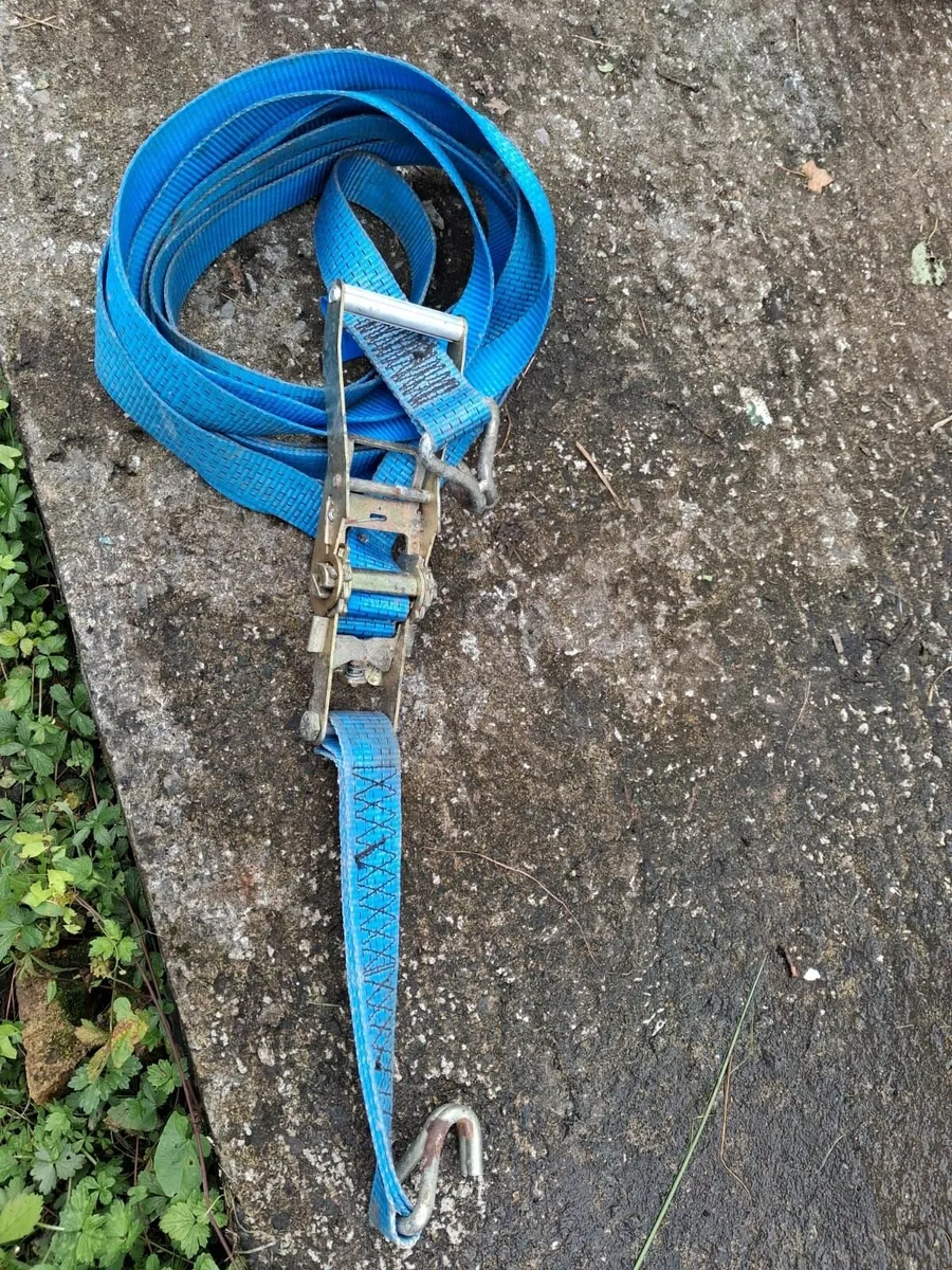 caravan strap - Image 1