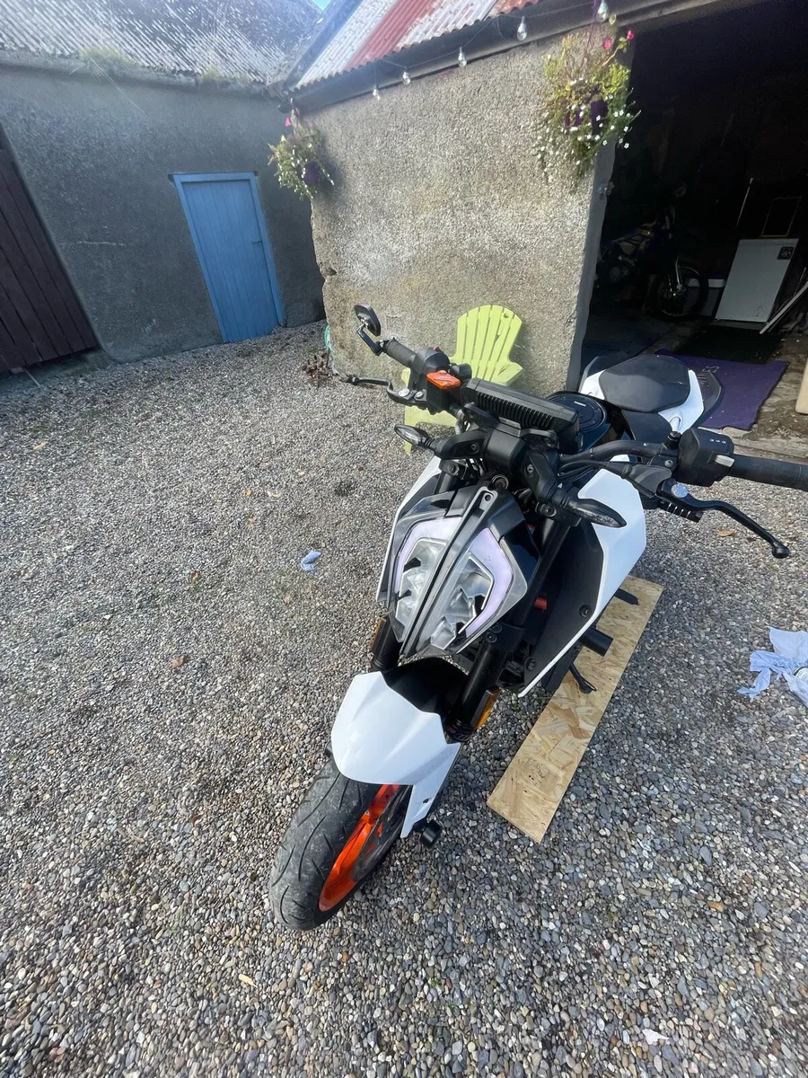 KTM Duke - Image 1