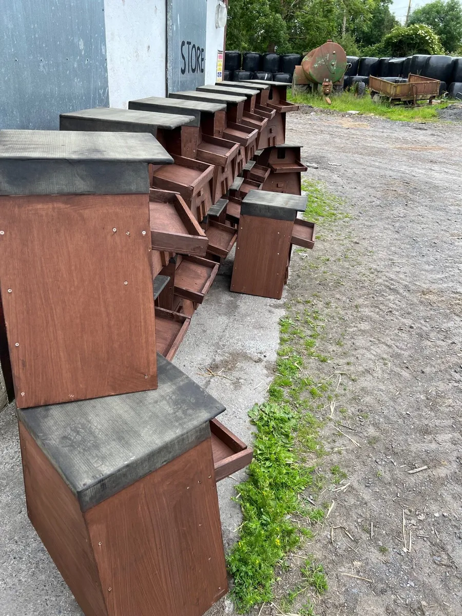 Owl boxes - Image 2