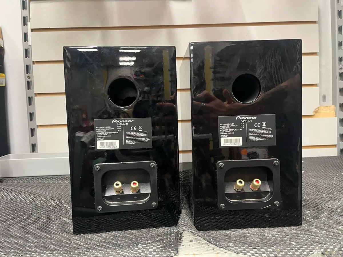 Pioneer SP01 LR Speakers - Image 2